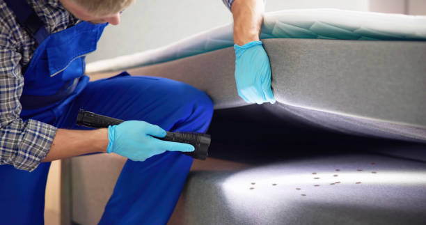 Best Bed Bug Extermination  in Western Springs, IL