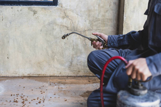 Best Rat Extermination Near Me  in Western Springs, IL