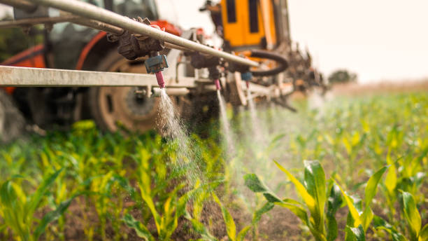 Professional Pest Control in Western Springs, IL
