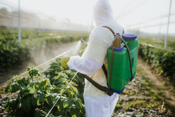 Best Mosquito Control Services  in Western Springs, IL